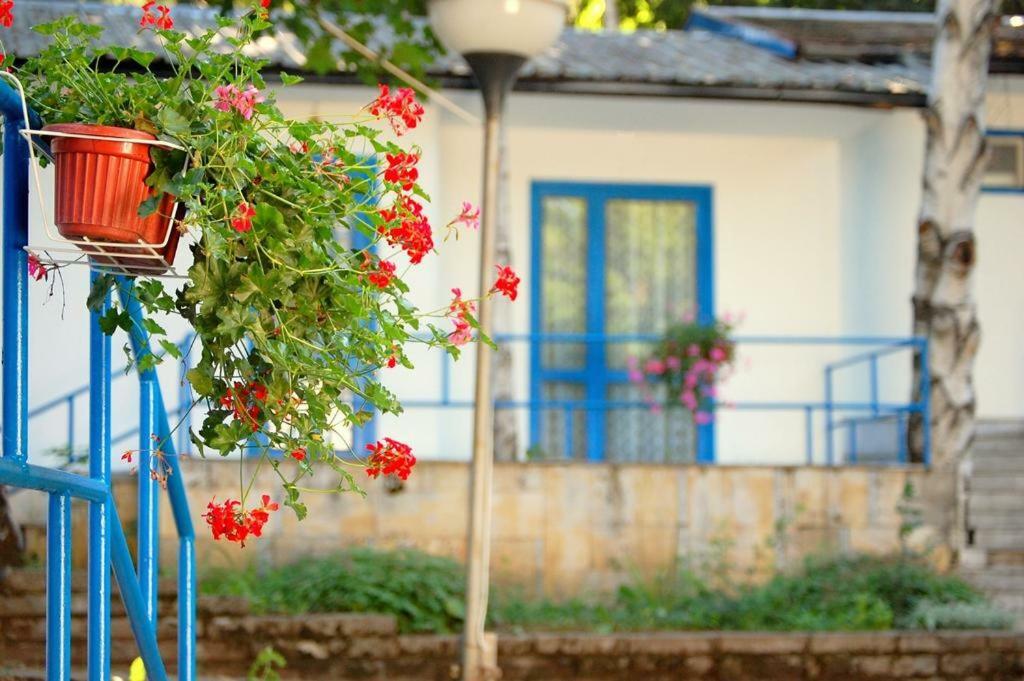 Комплекс Белите Къщи Shtarkelovo Gnezdo Exteriér fotografie